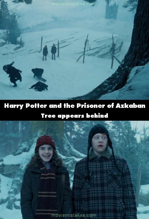 Sau cảnh Harry đánh Malfoy và những người bạn của anh này là cảnh Hermione và Ron đứng quay lưng lại những chiếc cột làm thành hàng rào. Tuy nhiên, ở cận cảnh, khán giả lại thấy sau lưng họ là một cái cây lớn
